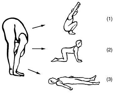 Иллюстрация к книге — Сердце йоги. Принципы построения индивидуальной практики. «Йога-сутры» Патанджали. «Йоганджалисара» Шри Кришнамачарья [i_056.jpg]