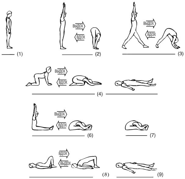 Иллюстрация к книге — Сердце йоги. Принципы построения индивидуальной практики. «Йога-сутры» Патанджали. «Йоганджалисара» Шри Кришнамачарья [i_058.jpg]