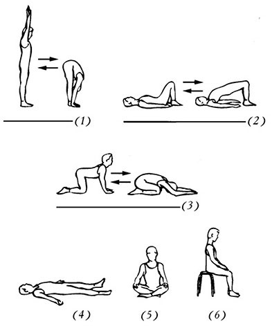 Иллюстрация к книге — Сердце йоги. Принципы построения индивидуальной практики. «Йога-сутры» Патанджали. «Йоганджалисара» Шри Кришнамачарья [i_062.jpg]