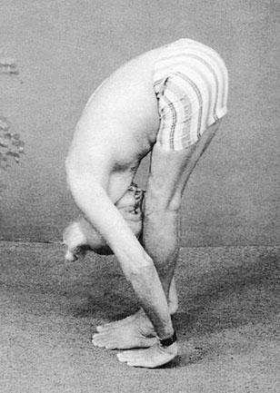 Иллюстрация к книге — Сердце йоги. Принципы построения индивидуальной практики. «Йога-сутры» Патанджали. «Йоганджалисара» Шри Кришнамачарья [i_065.jpg]