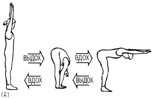 Иллюстрация к книге — Сердце йоги. Принципы построения индивидуальной практики. «Йога-сутры» Патанджали. «Йоганджалисара» Шри Кришнамачарья [i_068.jpg]