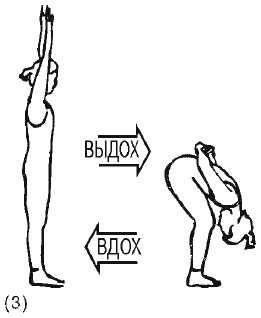 Иллюстрация к книге — Сердце йоги. Принципы построения индивидуальной практики. «Йога-сутры» Патанджали. «Йоганджалисара» Шри Кришнамачарья [i_069.jpg]