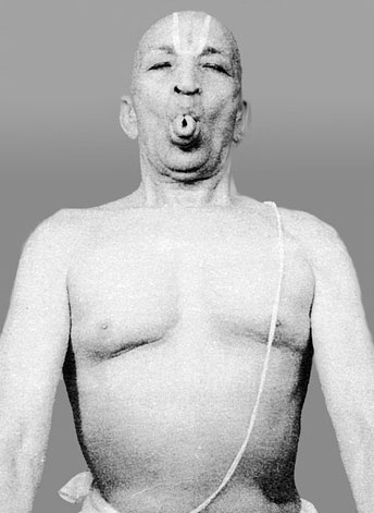 Иллюстрация к книге — Сердце йоги. Принципы построения индивидуальной практики. «Йога-сутры» Патанджали. «Йоганджалисара» Шри Кришнамачарья [i_077.jpg]