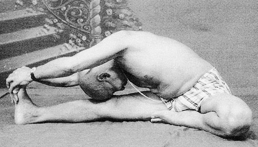 Иллюстрация к книге — Сердце йоги. Принципы построения индивидуальной практики. «Йога-сутры» Патанджали. «Йоганджалисара» Шри Кришнамачарья [i_084.jpg]