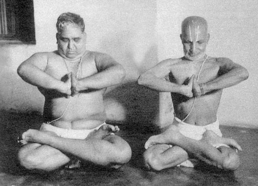 Иллюстрация к книге — Сердце йоги. Принципы построения индивидуальной практики. «Йога-сутры» Патанджали. «Йоганджалисара» Шри Кришнамачарья [i_091.jpg]