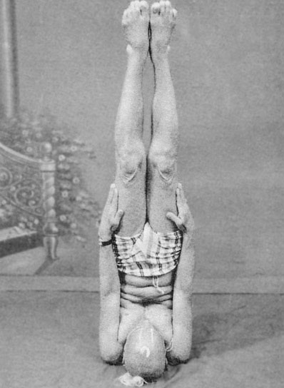 Иллюстрация к книге — Сердце йоги. Принципы построения индивидуальной практики. «Йога-сутры» Патанджали. «Йоганджалисара» Шри Кришнамачарья [i_094.jpg]