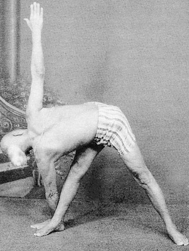 Иллюстрация к книге — Сердце йоги. Принципы построения индивидуальной практики. «Йога-сутры» Патанджали. «Йоганджалисара» Шри Кришнамачарья [i_097.jpg]