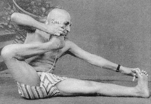 Иллюстрация к книге — Сердце йоги. Принципы построения индивидуальной практики. «Йога-сутры» Патанджали. «Йоганджалисара» Шри Кришнамачарья [i_102.jpg]