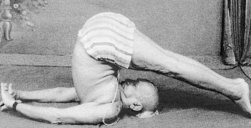 Иллюстрация к книге — Сердце йоги. Принципы построения индивидуальной практики. «Йога-сутры» Патанджали. «Йоганджалисара» Шри Кришнамачарья [i_104.jpg]