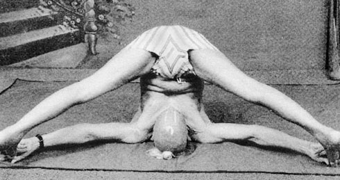 Иллюстрация к книге — Сердце йоги. Принципы построения индивидуальной практики. «Йога-сутры» Патанджали. «Йоганджалисара» Шри Кришнамачарья [i_105.jpg]