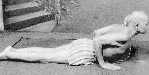 Иллюстрация к книге — Сердце йоги. Принципы построения индивидуальной практики. «Йога-сутры» Патанджали. «Йоганджалисара» Шри Кришнамачарья [i_106.jpg]