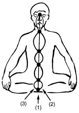 Иллюстрация к книге — Сердце йоги. Принципы построения индивидуальной практики. «Йога-сутры» Патанджали. «Йоганджалисара» Шри Кришнамачарья [i_115.jpg]