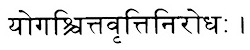 Иллюстрация к книге — Сердце йоги. Принципы построения индивидуальной практики. «Йога-сутры» Патанджали. «Йоганджалисара» Шри Кришнамачарья [i_141.jpg]