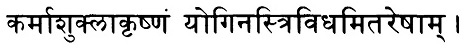 Иллюстрация к книге — Сердце йоги. Принципы построения индивидуальной практики. «Йога-сутры» Патанджали. «Йоганджалисара» Шри Кришнамачарья [i_489.jpg]