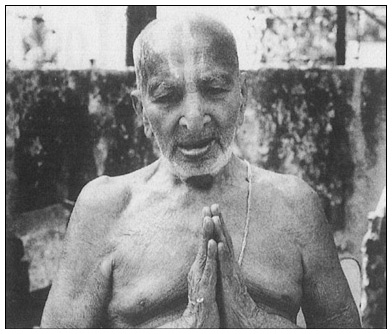 Иллюстрация к книге — Сердце йоги. Принципы построения индивидуальной практики. «Йога-сутры» Патанджали. «Йоганджалисара» Шри Кришнамачарья [i_537.jpg]