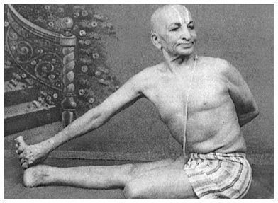 Иллюстрация к книге — Сердце йоги. Принципы построения индивидуальной практики. «Йога-сутры» Патанджали. «Йоганджалисара» Шри Кришнамачарья [i_538.jpg]