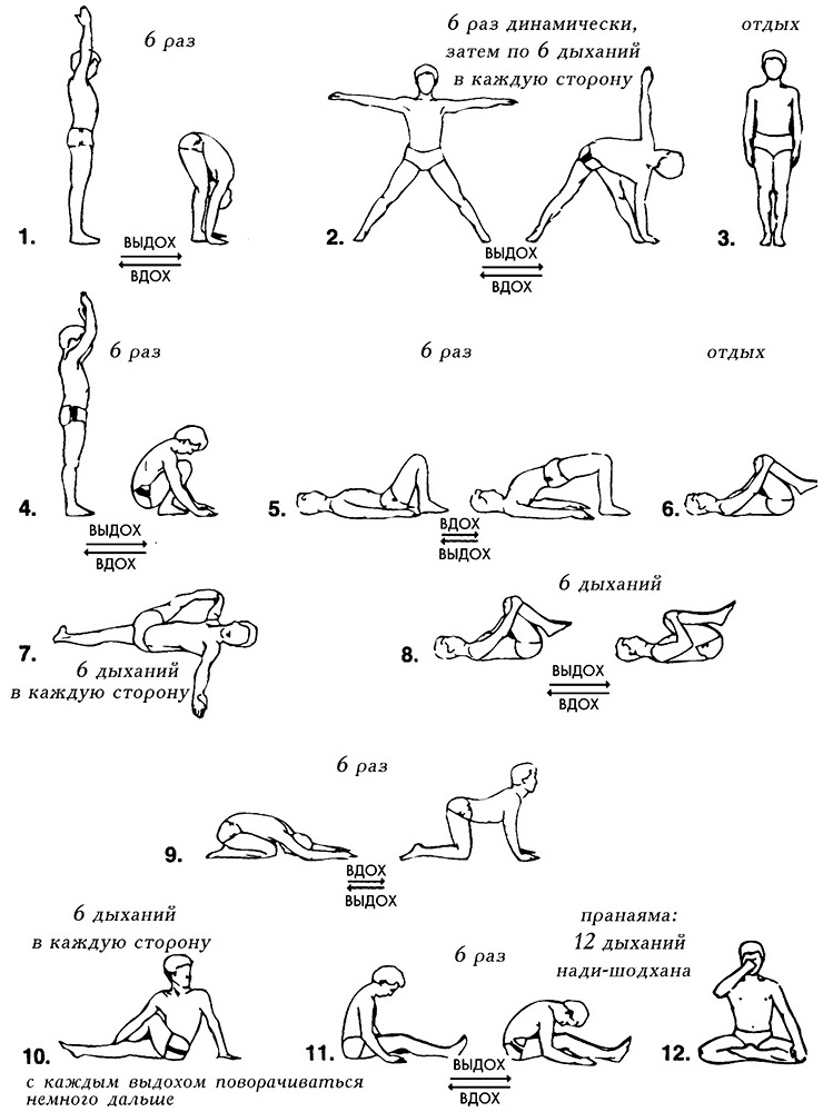 Иллюстрация к книге — Сердце йоги. Принципы построения индивидуальной практики. «Йога-сутры» Патанджали. «Йоганджалисара» Шри Кришнамачарья [i_558.jpg]