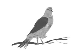 Иллюстрация к книге — Город Мрак [i_012.jpg]