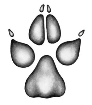 Иллюстрация к книге — Караг и волчье испытание [i_007.jpg]