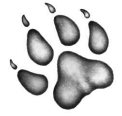 Иллюстрация к книге — Караг и волчье испытание [i_008.jpg]