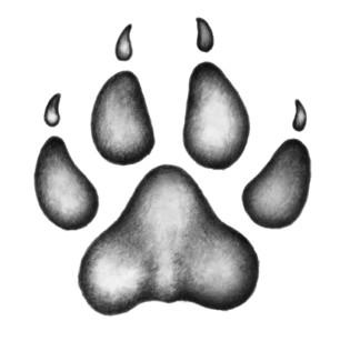 Иллюстрация к книге — Караг и волчье испытание [i_016.jpg]