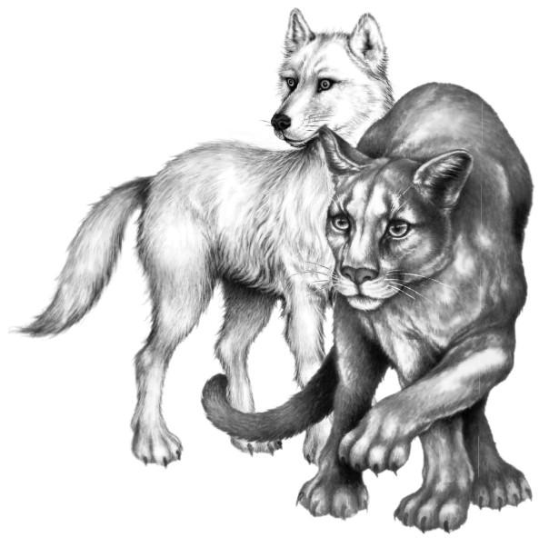 Иллюстрация к книге — Караг и волчье испытание [i_033.jpg]