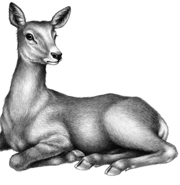 Иллюстрация к книге — Секрет сфинкса [i_005.jpg]