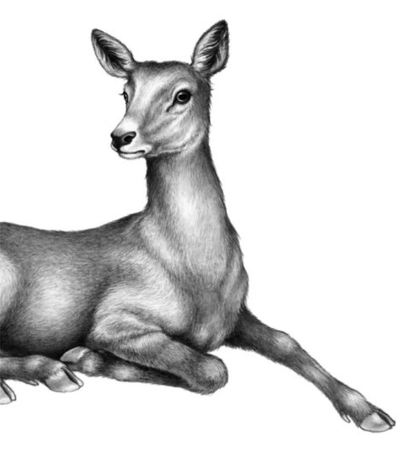 Иллюстрация к книге — Секрет сфинкса [i_009.jpg]