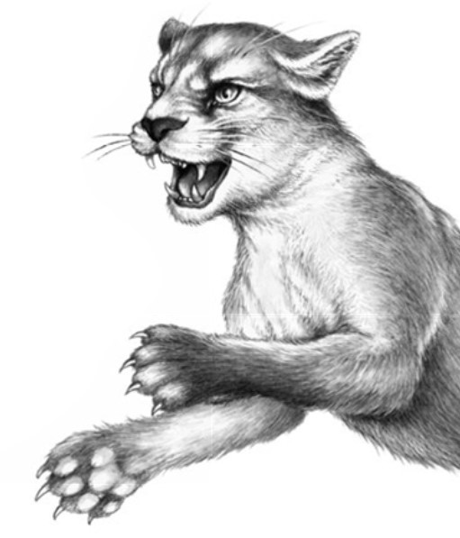 Иллюстрация к книге — Секрет сфинкса [i_010.jpg]