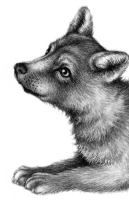 Иллюстрация к книге — Секрет сфинкса [i_013.jpg]