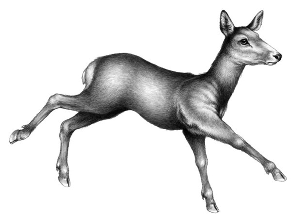 Иллюстрация к книге — Секрет сфинкса [i_014.jpg]