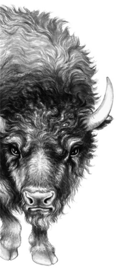 Иллюстрация к книге — Секрет сфинкса [i_015.jpg]