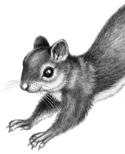 Иллюстрация к книге — Секрет сфинкса [i_018.jpg]