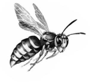 Иллюстрация к книге — Секрет сфинкса [i_023.jpg]