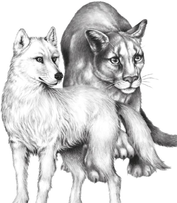 Иллюстрация к книге — Секрет сфинкса [i_027.jpg]