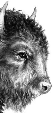 Иллюстрация к книге — Секрет сфинкса [i_031.jpg]