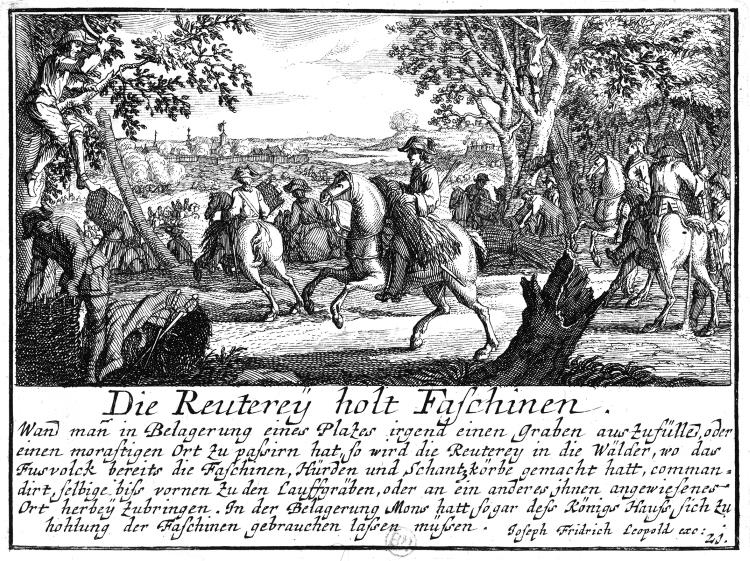 Иллюстрация к книге — Осады и штурмы Северной войны 1700–1721 гг [i_002.jpg]