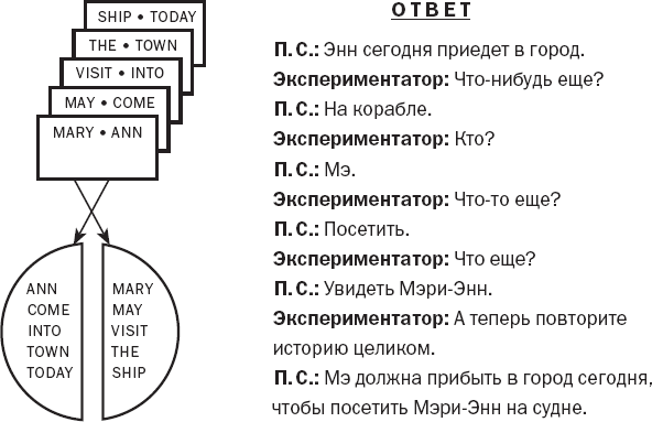 Иллюстрация к книге — Истории от разных полушарий мозга. Жизнь в нейронауке [i_005.jpg]