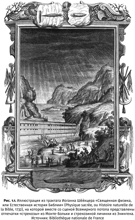 Иллюстрация к книге — Краткая история насекомых. Шестиногие хозяева планеты [i_004.jpg]