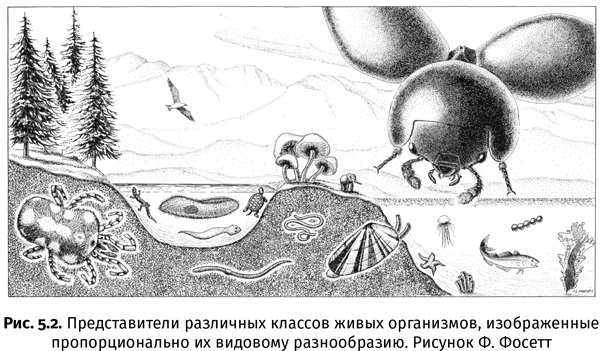 Иллюстрация к книге — Краткая история насекомых. Шестиногие хозяева планеты [i_024.jpg]