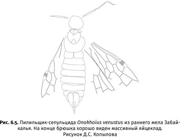 Иллюстрация к книге — Краткая история насекомых. Шестиногие хозяева планеты [i_036.jpg]