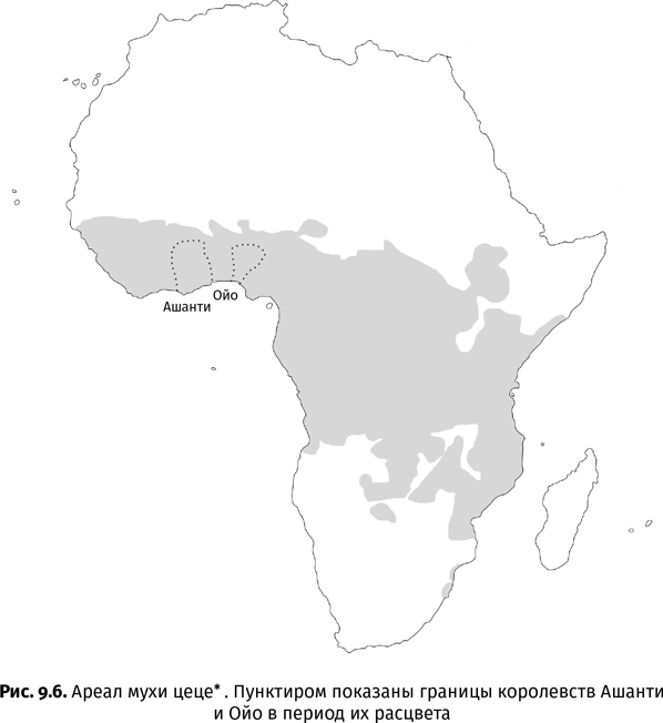 Иллюстрация к книге — Краткая история насекомых. Шестиногие хозяева планеты [i_061.jpg]