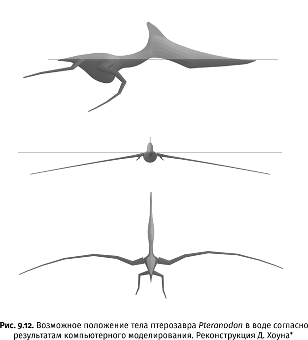 Иллюстрация к книге — Краткая история насекомых. Шестиногие хозяева планеты [i_067.jpg]