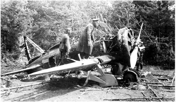 Иллюстрация к книге — Небо вторжения. Горячее лето 1941 года [i_020.jpg]