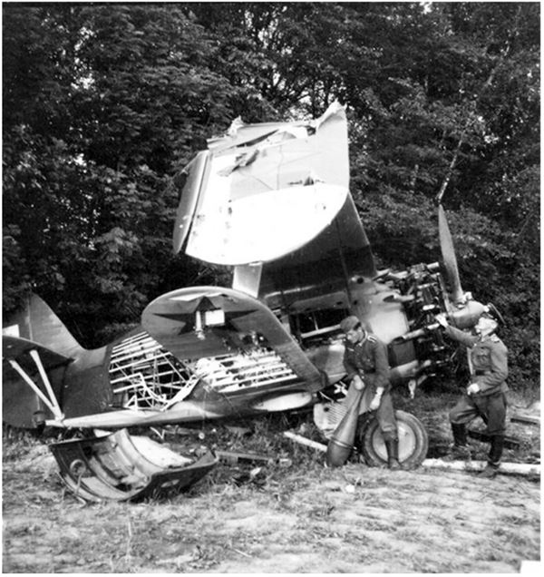 Иллюстрация к книге — Небо вторжения. Горячее лето 1941 года [i_022.jpg]