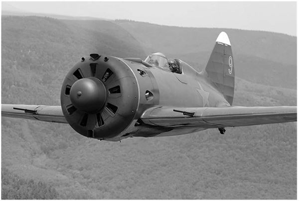 Иллюстрация к книге — Небо вторжения. Горячее лето 1941 года [i_028.jpg]