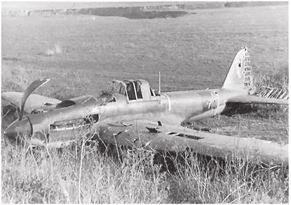 Иллюстрация к книге — Небо вторжения. Горячее лето 1941 года [i_052.jpg]