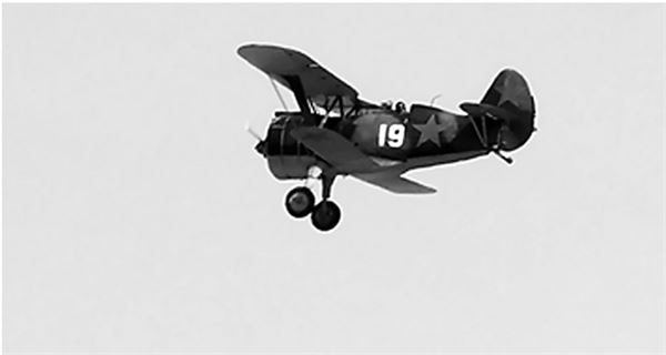 Иллюстрация к книге — Небо вторжения. Горячее лето 1941 года [i_058.jpg]