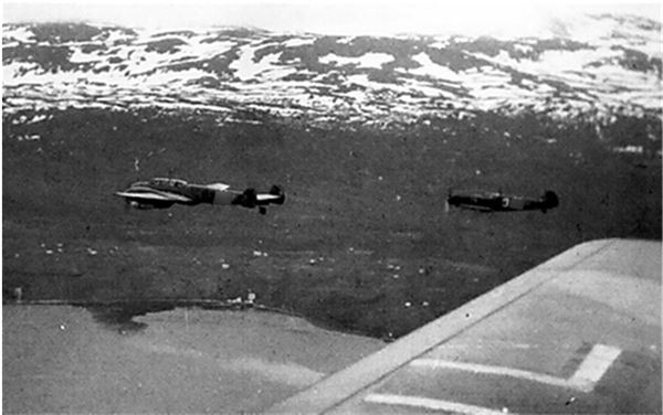 Иллюстрация к книге — Небо вторжения. Горячее лето 1941 года [i_100.jpg]