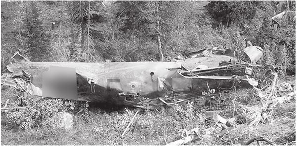 Иллюстрация к книге — Небо вторжения. Горячее лето 1941 года [i_102.jpg]